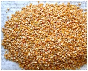 Công Ty TNHH Thương Mại Và Dịch Vụ Xuyên Giang