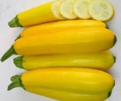 Nông Sản RSX Minh Anh – Công Ty TNHH RSX Minh Anh