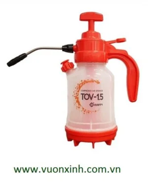 Công Ty TNHH Thương Mại Dịch Vụ Vườn Xinh