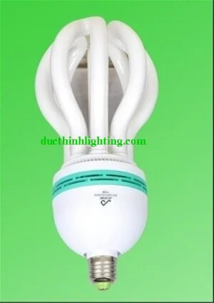 Cửa Hàng Đèn Chiếu Sáng Đức Thịnh