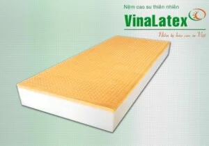 Nệm Cao Su Thiên Nhiên Vina Latex – Công Ty CP Nệm Cao Su Vina Latex