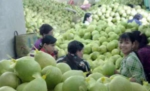 Công Ty TNHH Thực Phẩm Nông Sản Miền Nam