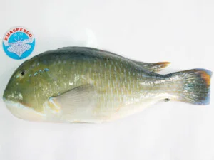 Công Ty Cổ Phần Xuất Khẩu Thủy Sản Khánh Hòa