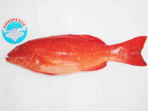 Công Ty Cổ Phần Xuất Khẩu Thủy Sản Khánh Hòa