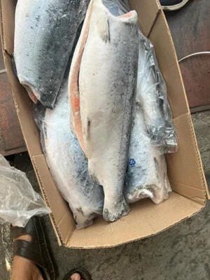 Đại Lý Cá Hồi Nhập Khẩu Giá Tốt