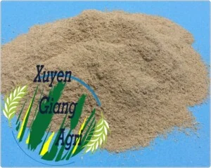 Công Ty TNHH Thương Mại Và Dịch Vụ Xuyên Giang