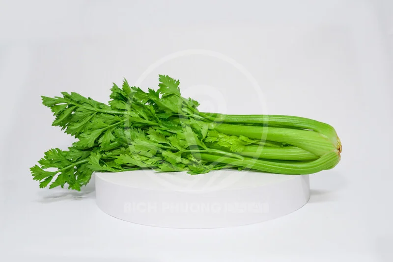 Nông Sản Rau Củ Tươi Bích Phương Đà Lạt – Công Ty TNHH Bích Phương Đà Lạt