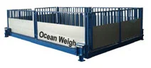 Cân Điện Tử Đại Dương  –  Công Ty TNHH Thiết Bị Vật Tư Khoa Học Kỹ Thuật Đại Dương