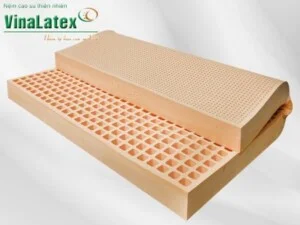 Nệm Cao Su Thiên Nhiên Vina Latex – Công Ty CP Nệm Cao Su Vina Latex