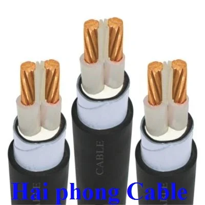 Dây Cáp Điện Hải Phòng – Công Ty TNHH Dây – Cáp Điện Hải Phòng