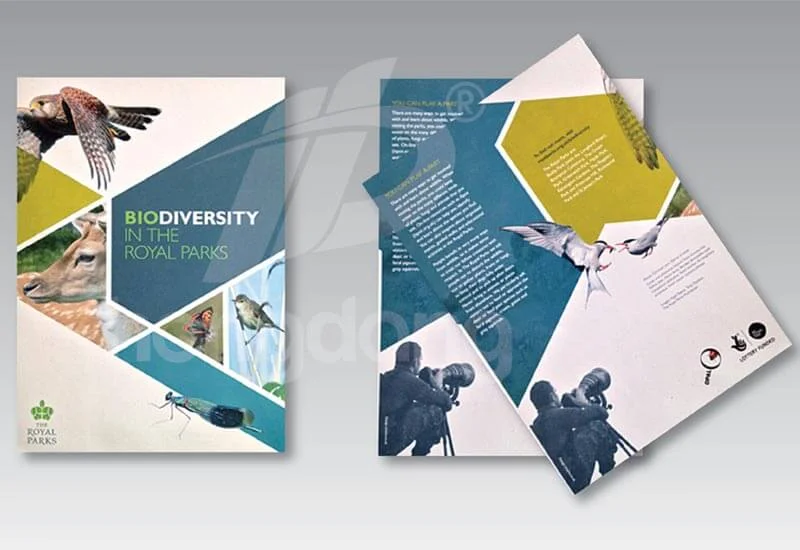 In Thiên Hằng – Công Ty TNHH DV Công Nghệ Thiên Hằng