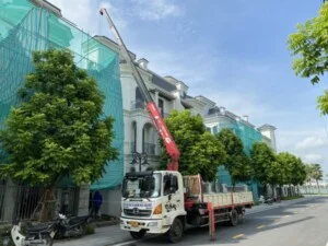 Dịch Vụ Xe Tải Cẩu An Huy