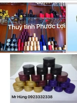 Cơ Sở Thủy Tinh Phước Lợi