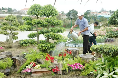 Ngoại Thất Xanh – Công Ty TNHH Ngoại Thất Xanh