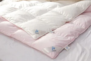 Chăn Gối Lông Vũ Phương Nam – Công Ty CP Đầu Tư Và Thương Mại May Phương Nam