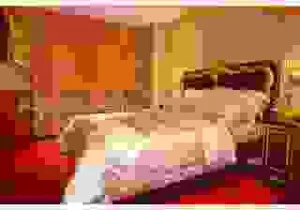 Công Ty TNHH MTV Bách Gia Phú