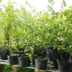 Công Ty Cổ Phần Hệ Sinh Thái Công Nghệ Việt Nam