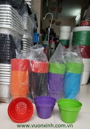 Công Ty TNHH Thương Mại Dịch Vụ Vườn Xinh