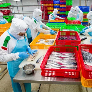 Công Ty Cổ Phần Thực Phẩm Trung Sơn