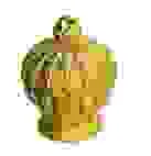 Công Ty Cổ Phần Thương Mại Rồng Vàng Minh Ngọc