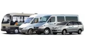 Công Ty TNHH Thương Mại Dịch Vụ Và Du Lịch Đăng Hải