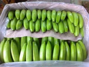 Công Ty TNHH Thanh Hiếu Foodstuff