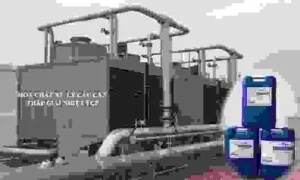 Hóa Chất Tẩy Rửa Thảo Chương Phát – Công Ty TNHH Thương Mại Và Dịch Vụ Thảo Chương Phát