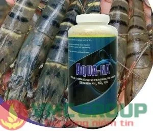 Hoá Chất Bắc Ninh – Công Ty Cổ Phần VMCGROUP Bắc Ninh