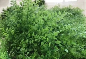 Công Ty Cổ Phần Kinh Doanh Và Xây Dựng VTN Việt Nam