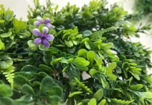 Công Ty Cổ Phần Kinh Doanh Và Xây Dựng VTN Việt Nam