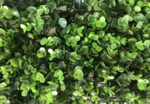 Công Ty Cổ Phần Kinh Doanh Và Xây Dựng VTN Việt Nam