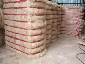 Công Ty TNHH Thương Mại – Dịch Vụ – Du Lịch Kinh Lữ