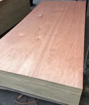 Ván ép Katwood – Công Ty TNHH Kat Wood