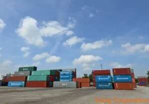 Công Ty TNHH Kiểm Soát Dịch Hại Quốc Tế