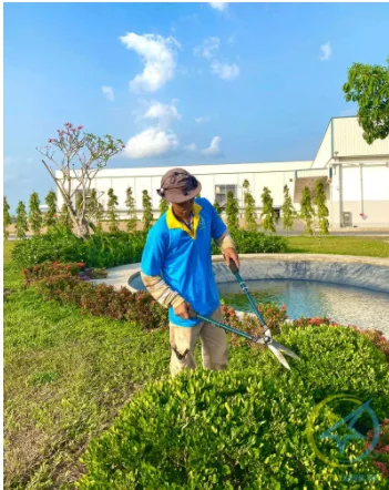 Vệ Sinh Công Nghiệp Miền Tây Xanh – Công Ty TNHH Dịch Vụ Tổng Hợp Miền Tây Xanh