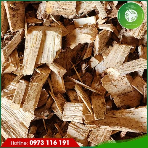 Công Ty TNHH TM DV SX An Nguyên Phát