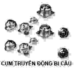 Công Ty TNHH Xuất Nhập Khẩu TST