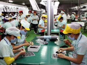 Cung Ứng Lao Động Đại Phát – Công Ty TNHH TM DV Gia Công Đóng Gói Hàng Hóa Đại Phát