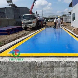 Cân Điện Tử Trí Việt – Công Ty TNHH Cân Điện Tử Trí Việt
