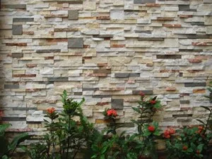 Công Ty TNHH Một Thành Viên Hòa Bình