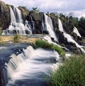 Công Ty TNHH Quốc Tế Denver