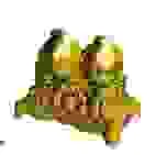 Công Ty Cổ Phần Thương Mại Rồng Vàng Minh Ngọc