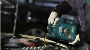 Công Ty TNHH Thương Mại Dịch Vụ Đức Thiện