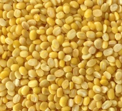 Hạt Dinh Dưỡng An Khang – Công Ty Cổ Phần Thực Phẩm An Khang