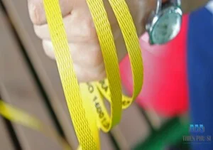 Bao Bì Thiện Phú Sĩ – Công Ty Cổ Phần Thiện Phú Sĩ