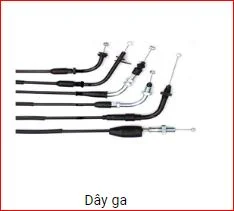 Công Ty Cổ Phần Thương Mại Và Xuất Nhập Khẩu Việt Hồng Chinh