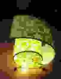 Công Ty TNHH Linh Hồn Việt