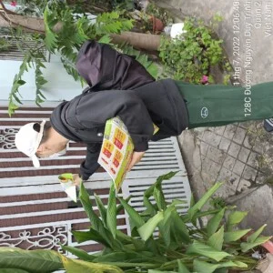 In Tờ Rơi Duy Phát –  Công TNHH In Ấn Quảng Cáo Duy Phát