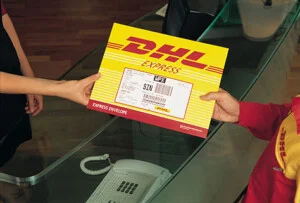 Công Ty TNHH Dịch Vụ Thương Mại Xuất Nhập Khẩu DT
