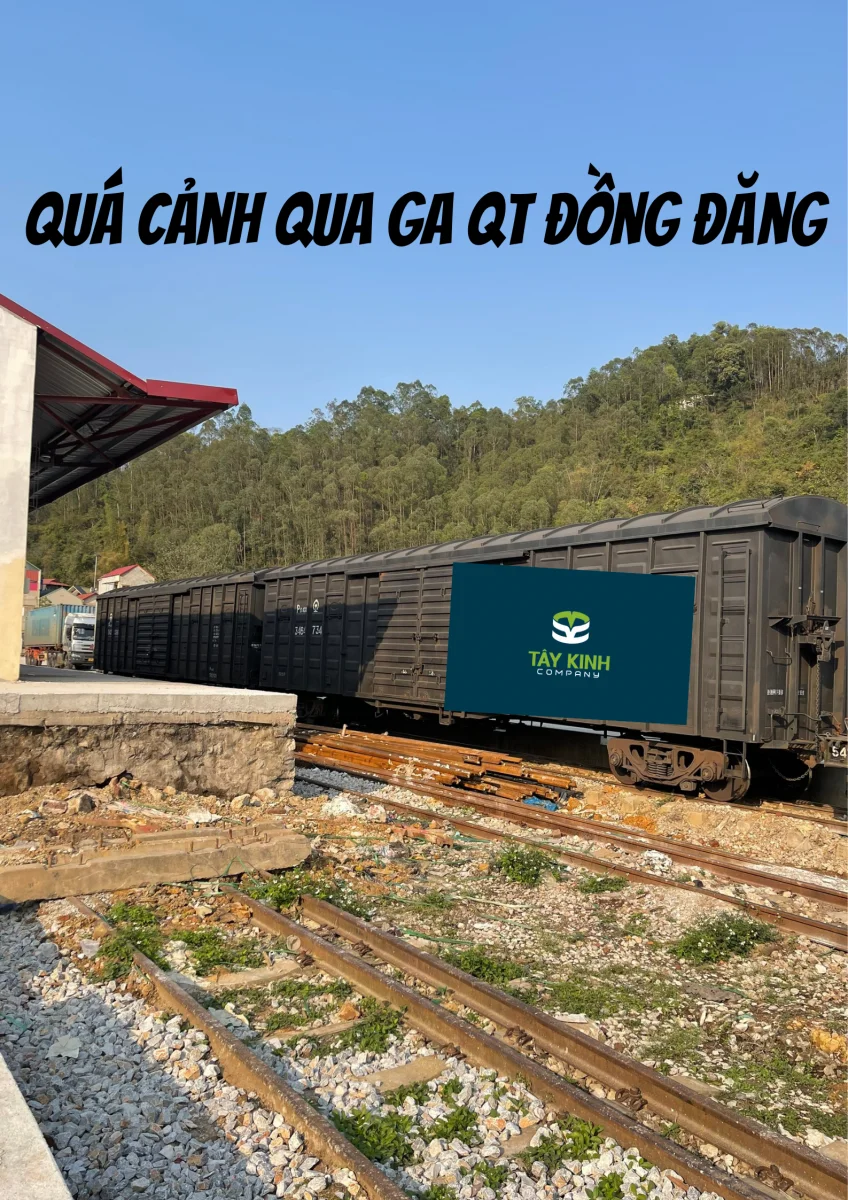 Tây Kinh Logistics – Công Ty TNHH Tây Kinh